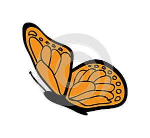 Vector monarch butterfly