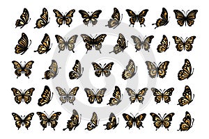 Vector monarch butterfly black and orange silhouette set cutout insect wing wing animal summer spring nature fly