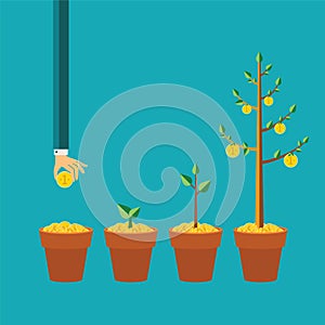 Vector money tree growth concept in flat style