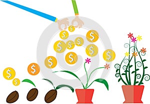 Vector money tree growth concept in flat style, save money, stages of growth of plant and seed to tree