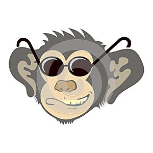 Vector Monkey Icon with Sunglasses Isolated on White Background. Cartoon Ape Head. Mascot Funny Face