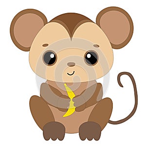 Vector monkey on a white background