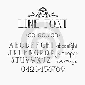 Vector mono line decorative font and numerals. photo