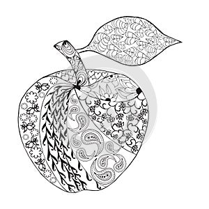 Vector Monochrome Apple zentangle style for coloring book.