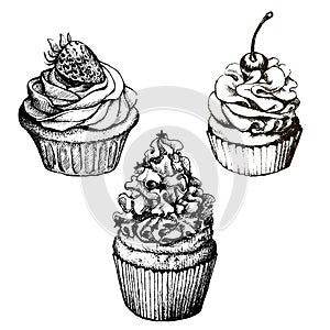 Vector monochrome background. Hand drawn sweet cupcakes collection with strawberry and cherry. Set for greeting card, postcard or