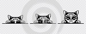 Vector Monochrome Hand Drawm Black, White Hiding Peeking Kitten. Kitten Head with Paws Up Peeking Over Blank White