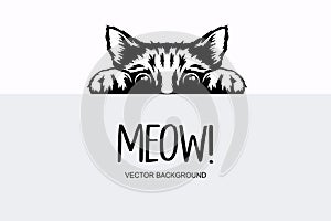 Vector Monochrome Hand Drawm Black, White Hiding Peeking Kitten. Kitten Head with Paws Up Peeking Over Blank White