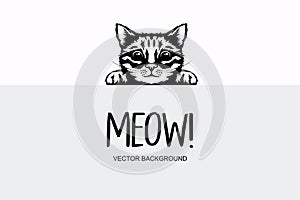 Vector Monochrome Hand Drawn Black, White Hiding Peeking Kitten. Kitten Head with Paws Up Peeking Over Blank White