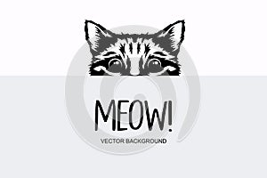Vector Monochrome Hand Drawn Black, White Hiding Peeking Kitten. Kitten Head Peeking Over Blank White Placard, Poster