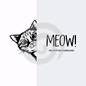 Vector Monochrome Hand Drawn Black, White Hiding Peeking Kitten. Kitten Head Peeking Over Vertical Blank White Placard