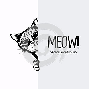 Vector Monochrome Hand Drawn Black, White Hiding Peeking Kitten with Paws. Kitten Head Peeking Over Vertical Blank White