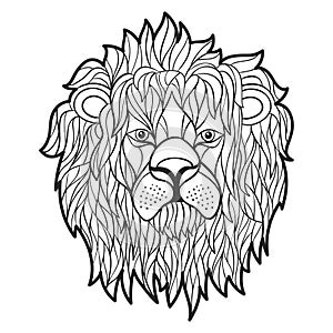 Vector monochrome hand drawn illustration of lion face.