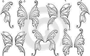 Vector monochrome pattern with tracery contour butterfly wings. Entomology surface design. Texture with black outline fairy wings