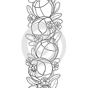 Vector monochrome seamless pattern with outline Pomegranate fruit, ornate leaf and flower in black on the white background.