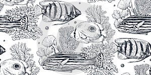 Vector monochrome seamless sea pattern with tropical fish