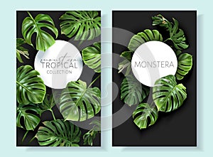 Vector monstera frames with green tropical leaves
