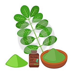 Vector moringa, vegetarian superfood. Healthy nutrition. Herb