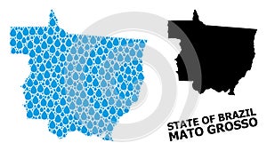 Vector Mosaic Map of Mato Grosso State of Water Tears and Solid Map