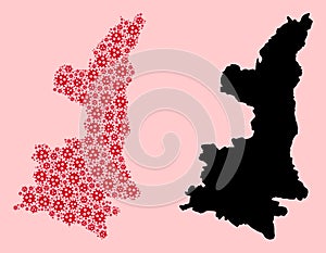 Vector Mosaic Map of Shaanxi Province of Viral Particles and Solid Map