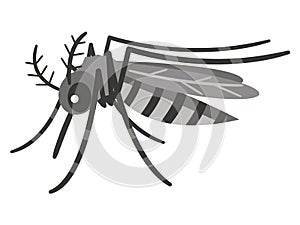 Vector of a Mosquito design on white background. Insect. Animal