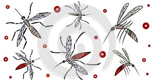 Vector mosquito set. Hungry mosquito. Mosquitoes drank blood.No to mosquitoes. Means against mosquitoes.