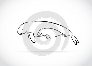 Vector of mother dugong and baby dugong design on white background. Easy editable layered vector illustration. Wild Animals