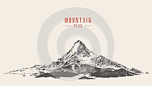 Vector mountain peak pine forest hand drawn