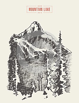 Vector of a mountain peak pine forest lake drawn