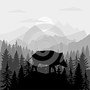 vector mountains forest woodland background silhouettes texture with wild hog boar mascot EPS