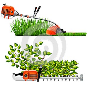 Vector Mowing Lawns and Bushes