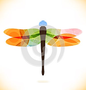 Vector multicolor dragonfly Beauty insect