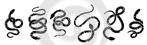 Vector mystery set of black silhouettes of snakes in various poses. Collection of celestial monochrome cobras and boas photo