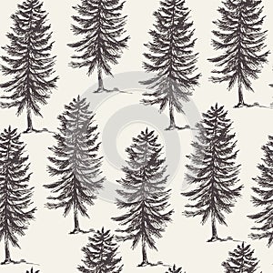 Vector natural forest seamless pattern of evegreen trees