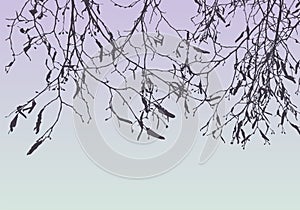 Vector nature background of silhouettes tree branches with buds