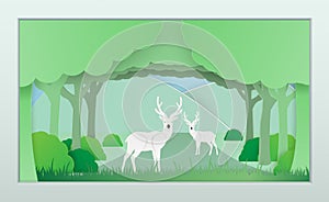 Vector nature and forest where the deer and wild animals live.And the plentiful world . photo