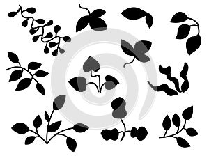 Vector Nature Silhouettes Icons