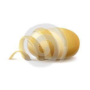 Vector New Yellow Raw Half Peeled Potato with twisted peel Close up on White Background