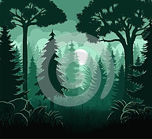 vector night with moon in woodland forest