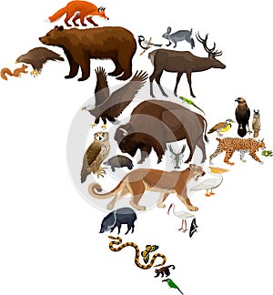 Vector North America fauna map, flat elements. Animals, birds, reptiles, insects and amphibian big set.