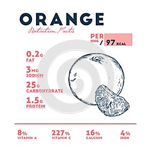 Vector nutrition facts of orange - Vector