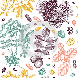 Vector Nuts seamless pattern. With hand drawn botanical elements - branches, fruits, nuts, leaves, plants drawings. Healthy food