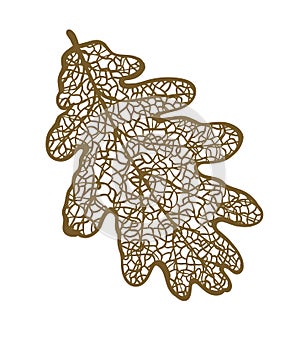 Vector oak leaf
