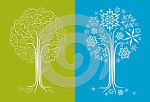 Vector oak tree in different seasons