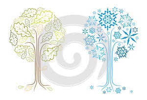 Vector oak tree in different seasons