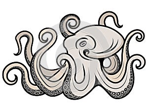 Vector octopus