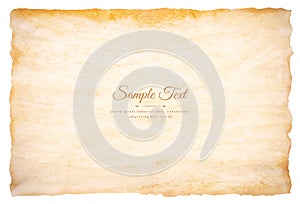 Vector old parchment paper sheet vintage aged or texture isolated on white background