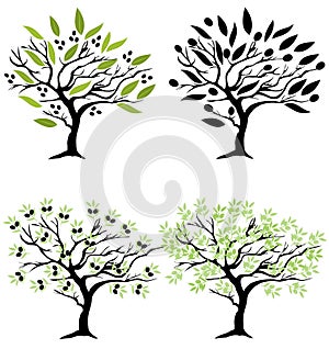 Vector Olive Trees