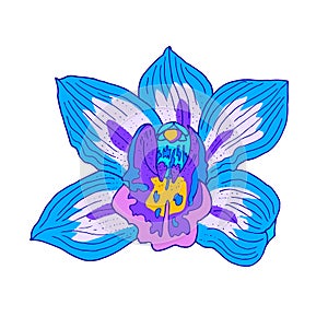 Vector orchid. Blue violet beautiful flower isolated on white. Line art style. Hand drawn illustration.