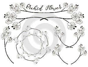 Vector Orchid Flower Design. Dividers, Frames and Wreaths