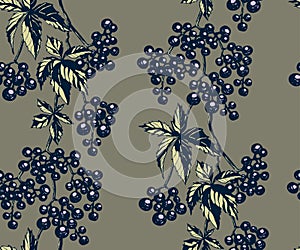 Vector ornamental vine grapes decorative background. Ethnic seamless pattern ornament. Vector